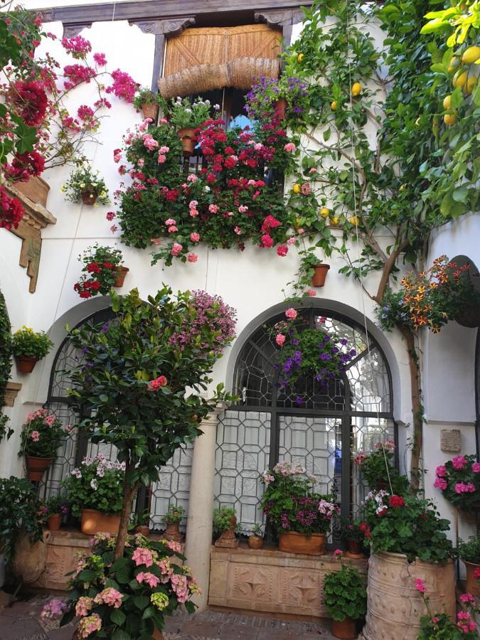 Apto. Planta Baja Y Cochera Barrio San Basilio Córdoba Exterior foto