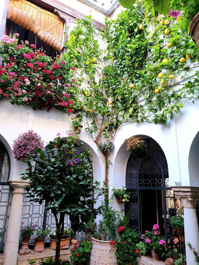 Apto. Planta Baja Y Cochera Barrio San Basilio Córdoba Exterior foto